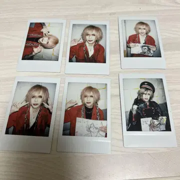 royz 폴라로이드