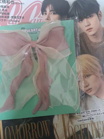 TXT 뿔바투밤그 헤어타이 리본