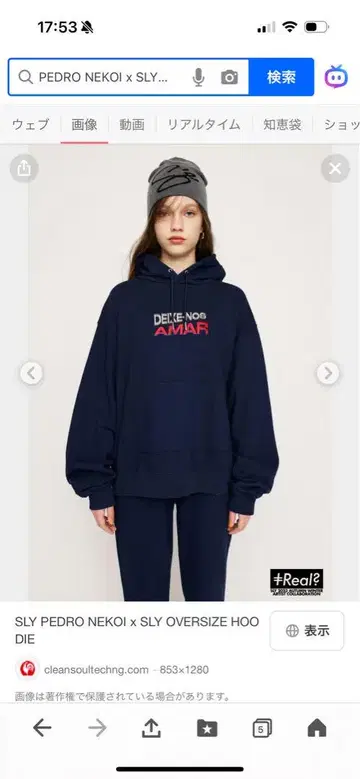 SLY PEDRO NEKOI x SLY OVERSIZE HOODIE