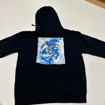 라파예트 후드티