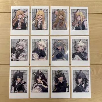 KMNZ 포토 카드 컴프 세트 KMNCULTURE 남은 1세트