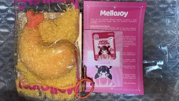 Mellojoy 메로조이 일식 새우튀김 바삭 스퀴즈