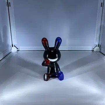 블랙 토끼 보통 사이즈 11