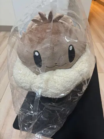 버튼의 이브이 백팩