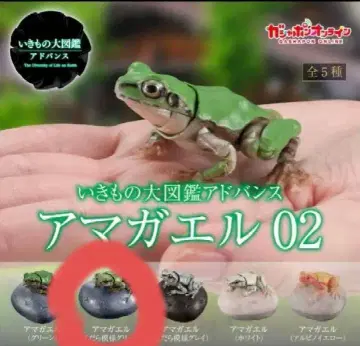 생물대도감 어드밴스 청개구리