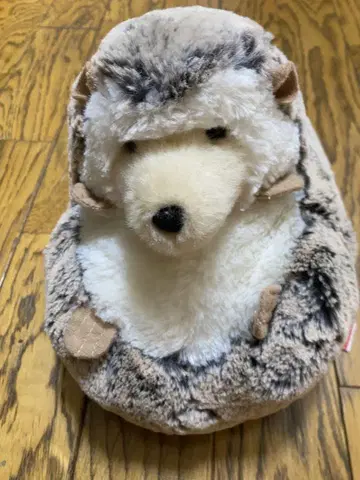 DOUGLAS 고슴도치 봉제 인형 약 25cm