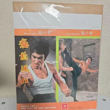 브루스 리 팜플렛
