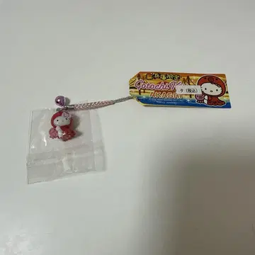 지역 한정 키티 효고