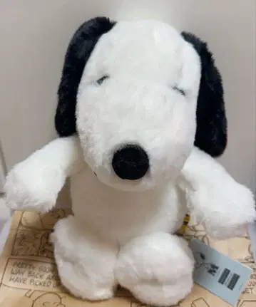 스누피 뮤지엄 한정판 봉제 인형 & 코스튬
