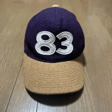 CHAMP 보라색 브라운 캡 자수