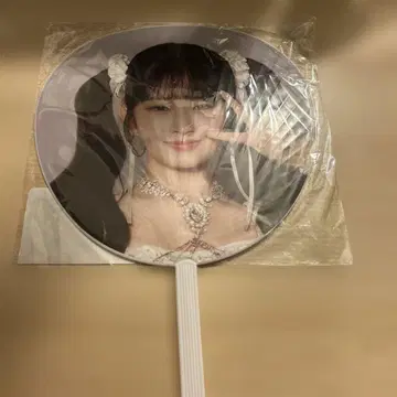 ive 레이 부채 월드 투어