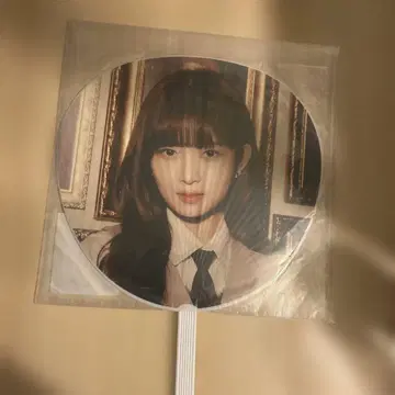 IVE 레이 팬 콘서트 부채