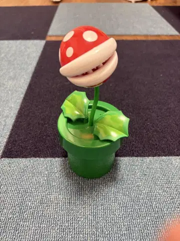 슈퍼 닌텐도 월드 댄싱 플라워 팩