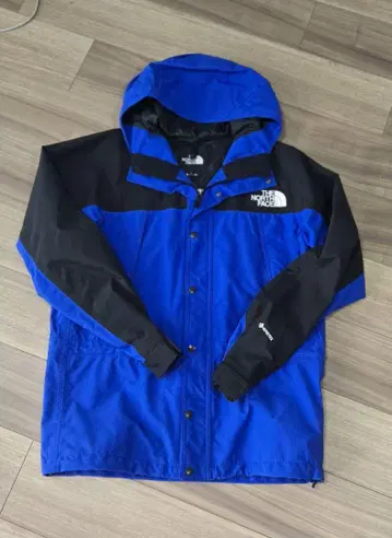 THE NORTH FACE 고어텍스 마운틴 후드티
