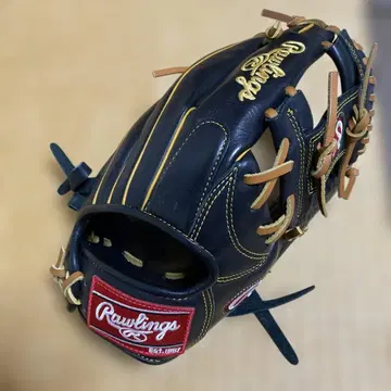 Rawlings 소프트볼용 그로브 GS7G117 블랙