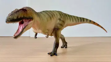 PNSO 성장 시리즈 카르카로돈토사우루스