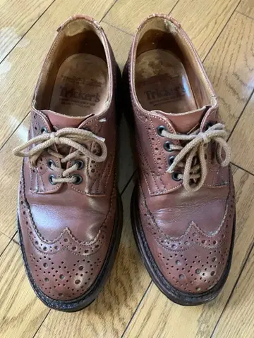 트리커스 버튼 6h 씨셰이드