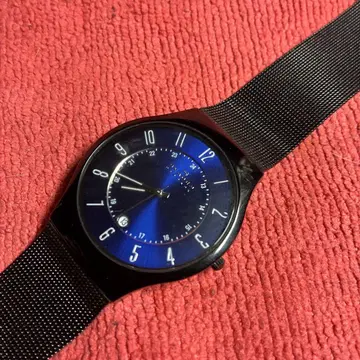 SKAGEN 쿼츠 손목시계 블루