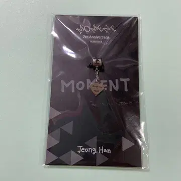 SEVENTEEN 7주년 기념 참 정한