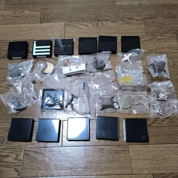 마츠모토 히토시 세계의 진귀한 동물 피규어 12개 세트