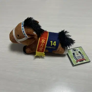 나리타 타이신 서러브레드 컬렉션