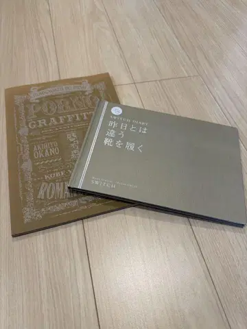 포르노그라피티 투어 팜플렛 (2권)