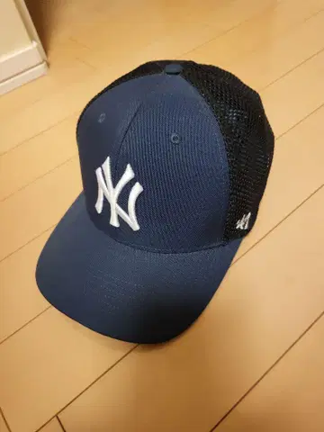 47 x helinox 양키스 캡