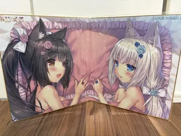 [레어!] 네코파라! 2단 접이식 색지