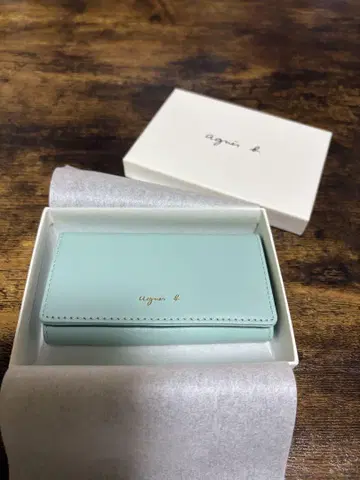 아네스베 민트 그린 키케이스