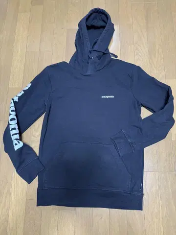 Patagonia 후드티 트레이닝복 블랙 팔 로고