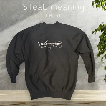 STeaL meaning 트레이닝복 맨투맨 프리 사이즈