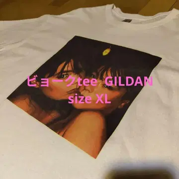 비요크 티 GILDAN