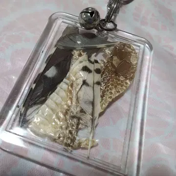 오색딱따구리 깃털과 아오다이쇼 가죽 아크릴 키링