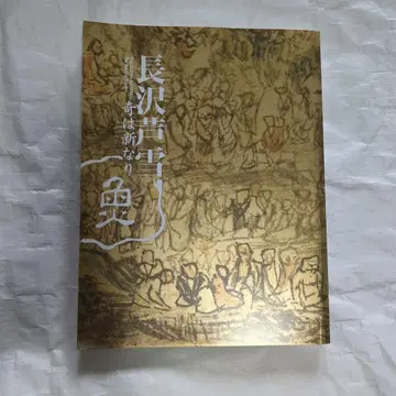 나가사와 로세츠 기이함은 새로움이다 미술품 화집 미호 뮤지엄 도록