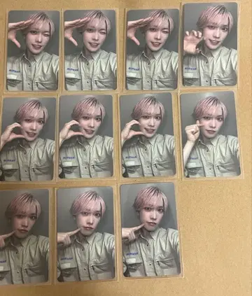 팬더 드래곤 타이거 트레이딩 카드 파라곤 토부 동물 공원