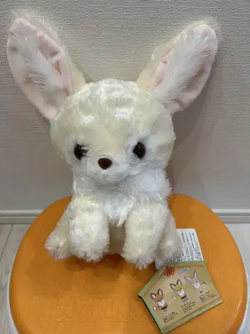 쵸콘과 여우 아카짱 JB 사이즈 봉제 인형 호론 페넥