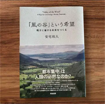 [ 바람계곡 ] 이라는 희망 안택화인 저 새상품