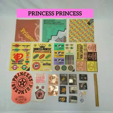 Princess Princess 프린세스 프린세스 스티커 오쿠이 카오루