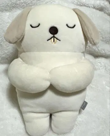 워너원 온성운