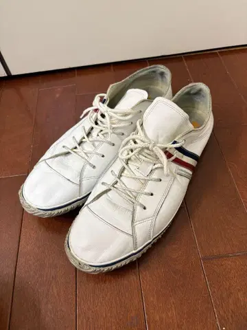 스핑글 SPM-168 트리콜로르 LL