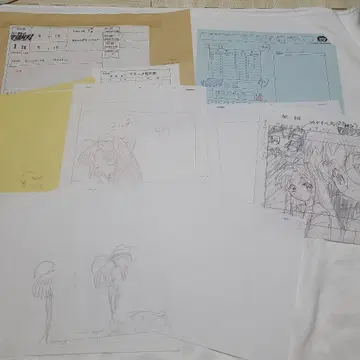 마모테 슈고겟텐 원화