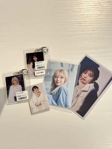 후지요시 카린 외