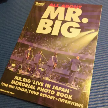 ALL ABOUT MR.BIG 메모리얼 사진집