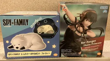SPY x FAMILY 룸 라이트 & 요르 포저 가시공주 피규어