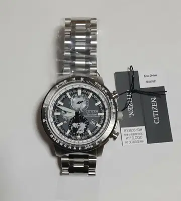 CITIZEN 프로 마스터 파이롯트 워치