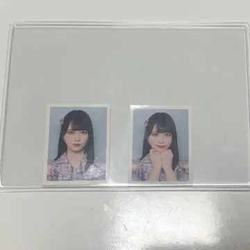 =LOVE ID 사진 사사키 마이카