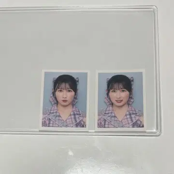 =LOVE ID 사진 야마모토 안나
