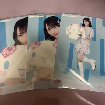 이코러브 브로마이드 노구치 이오리 시나몬 콜라보 브로마이드 2025 컴프