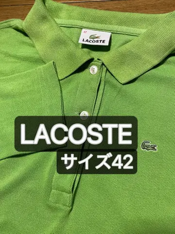 LACOSTE 긴팔 피케 셔츠 옐로우 그린 사이즈 42