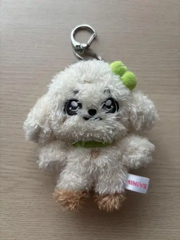 IVE minive 유진 미니브